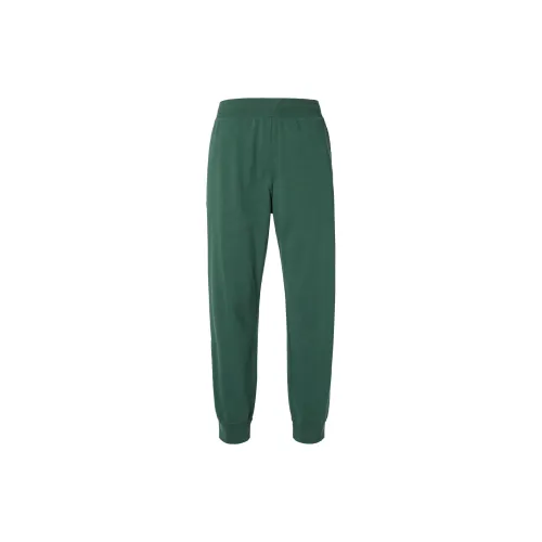 UNIQLO Knitted Sweatpants Unisex Dark Green