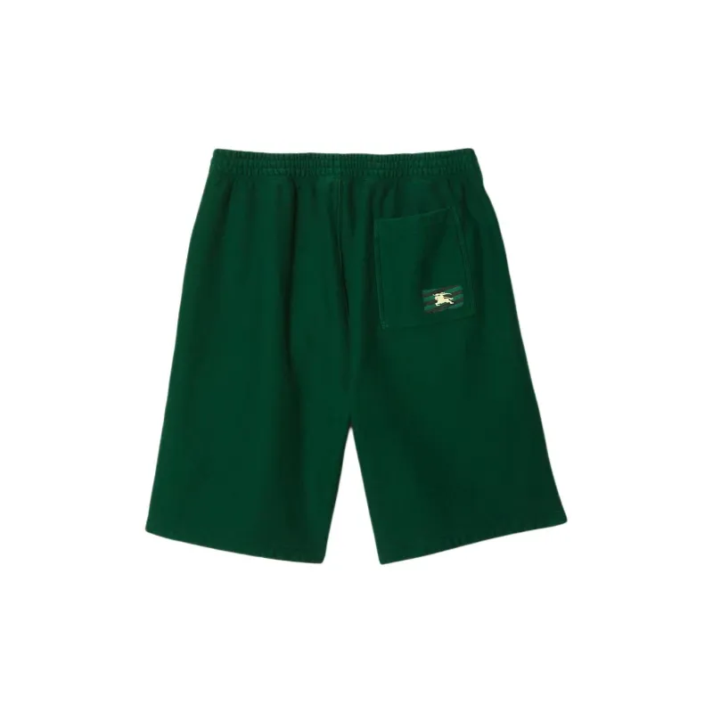Burberry Check-label Shorts-10