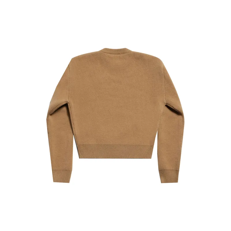 Balenciaga Knitted Sweater-10