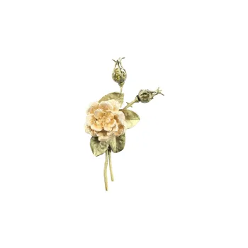 Michael Michaud Brooches Women's Yellow
