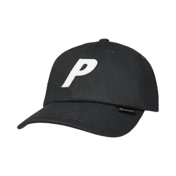 PALACE GORE TEX Pigment P 6 Panel