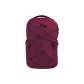 Boysenberry