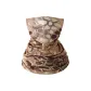 Desert Python Print