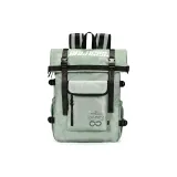 Light Gray Green (Style 2)