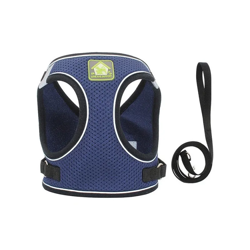 Gasco Leashes-3