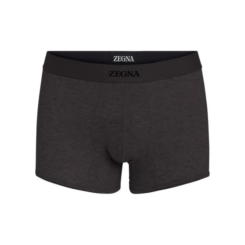 Ermenegildo Zegna Logo Detailed Elasticated Waistband Trunks-0