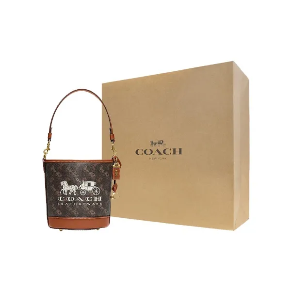 COACH Cow Leather Bucket Bag Handbag Crossbody Bag Mini Women's Black & Brown-6