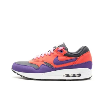 Nike Air Max 1 Acg Dark Shadow