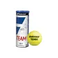 TEAM Tennis 1 Can (3-Pack Iron Can)