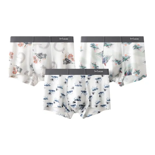 Underpants Womens Gift Box Set 5 Pack
