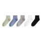 Short-Multicolor 1