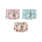 3 Pack (Coral Pink+Aurora Blue+Fir Yellow)