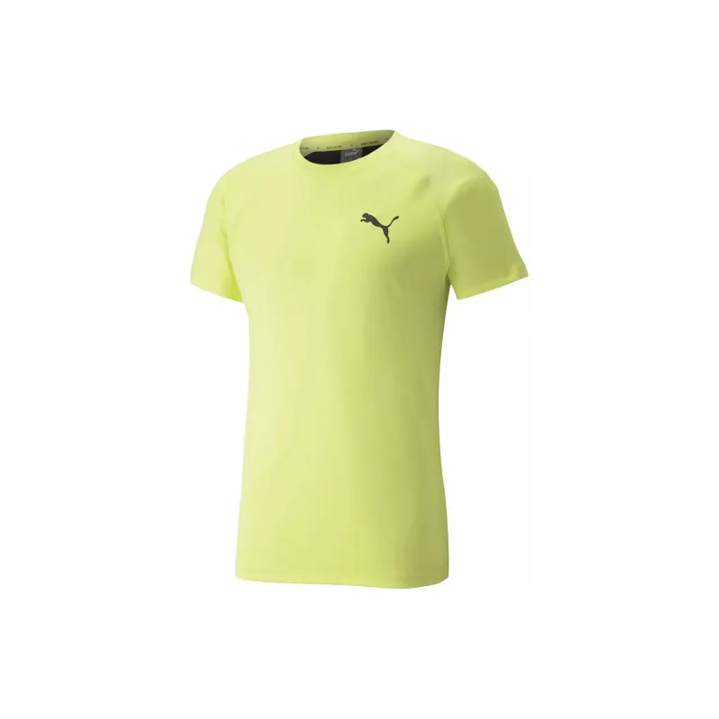 PUMA RTG TEE LEMON SHERBERT T-Shirt Men's Yellow-1