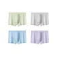 4-Pack (Green+Light Gray+Blue+Purple)