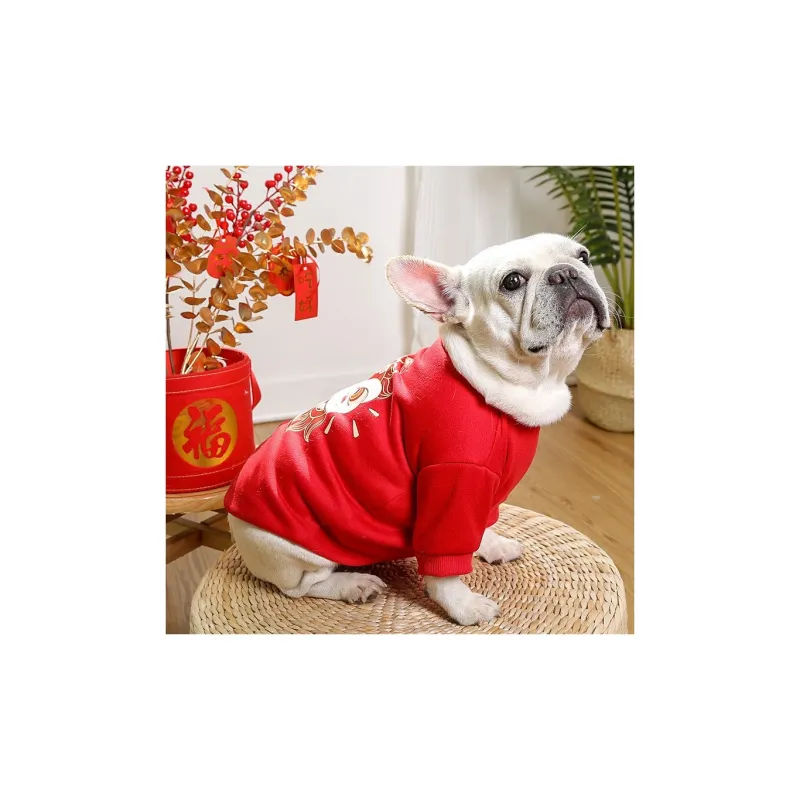 Pampering Pet Clothing-21