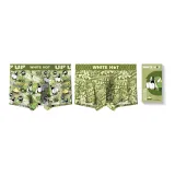 2 Pack (Camping+Surround Sound)