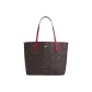 Bag+Dust Bag