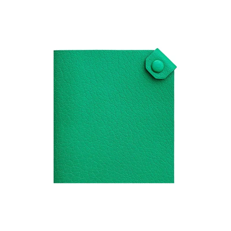 HERMES Tarmac Chamkila Goat Skin Passport Holder Small Size Women's 6W Menthe Mint Green-1