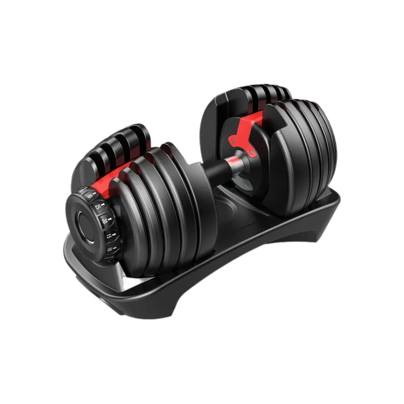 Ph.D. Research Dumbbell Benches-4