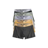 Light Gray+Dark Gray+Ginger Yellow+Fruit Green+Black (5-1)