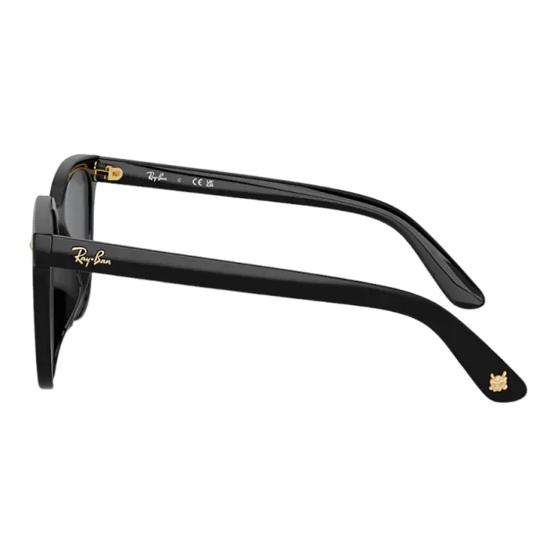 RayBan Injection Molded Square Sunglasses Unisex Black-3