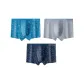 3 Pack (National Park+Pineapple Party+Romantic Forest)