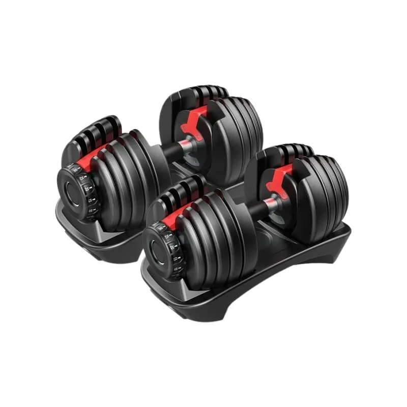 Ph.D. Research Dumbbell Benches-5