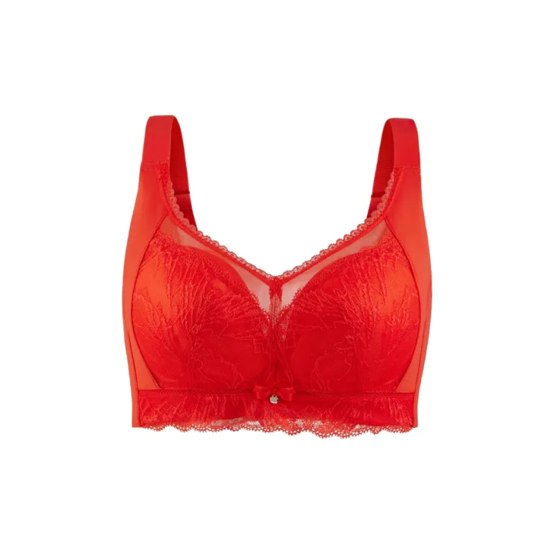 Anna Sweet Talks Women's Bras-0