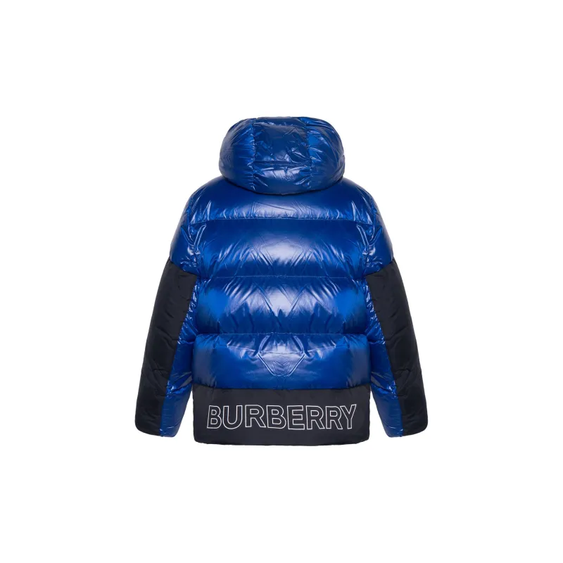 Burberry FW22 Down Jacket Men's Blue-1