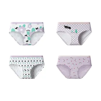 FENTENG Underpants Women's 4 Pack