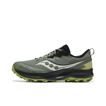 saucony Peregrine 14 GORE TEX 'Bough Olive'