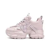 Gray Purple