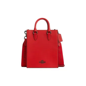 COACH Dylan Handbags