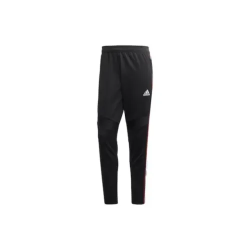 Adidas Tiro 19 Training Pants 