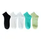 5 Pack (Black-Milk White-Defatted White-Jadeite Green-Verdant Green)