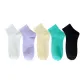 5 Pack (Milk White-Purple-Custard-Jadeite Green-Black)
