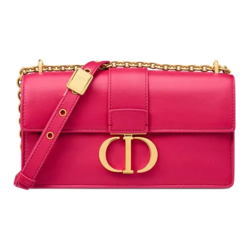 DIOR 30 Montaigne Crossbody Bags