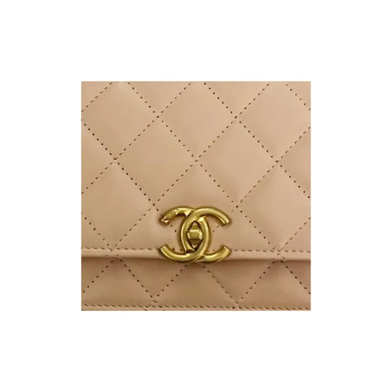 CHANEL WOC Calfskin Wallet On Chain, Coin Purse, Shoulder Bag, Crossbody Bag Women's Pink-1