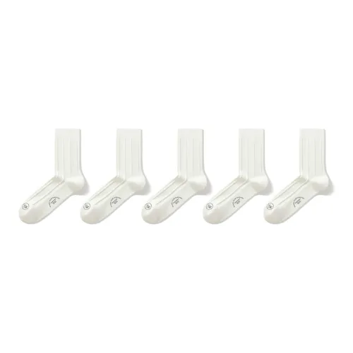 SecretWorld Mid-Calf Socks Men's 5 Pack