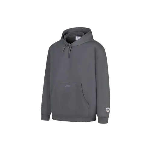 Asics Sweatshirts Unisex Gray