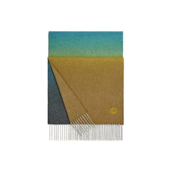 HERMES Knit Scarves Men's Blue Yellow