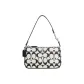 Bag+Dust Bag