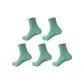 Light Green 5 Pack