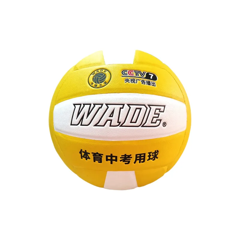 WADE Volleyball-1