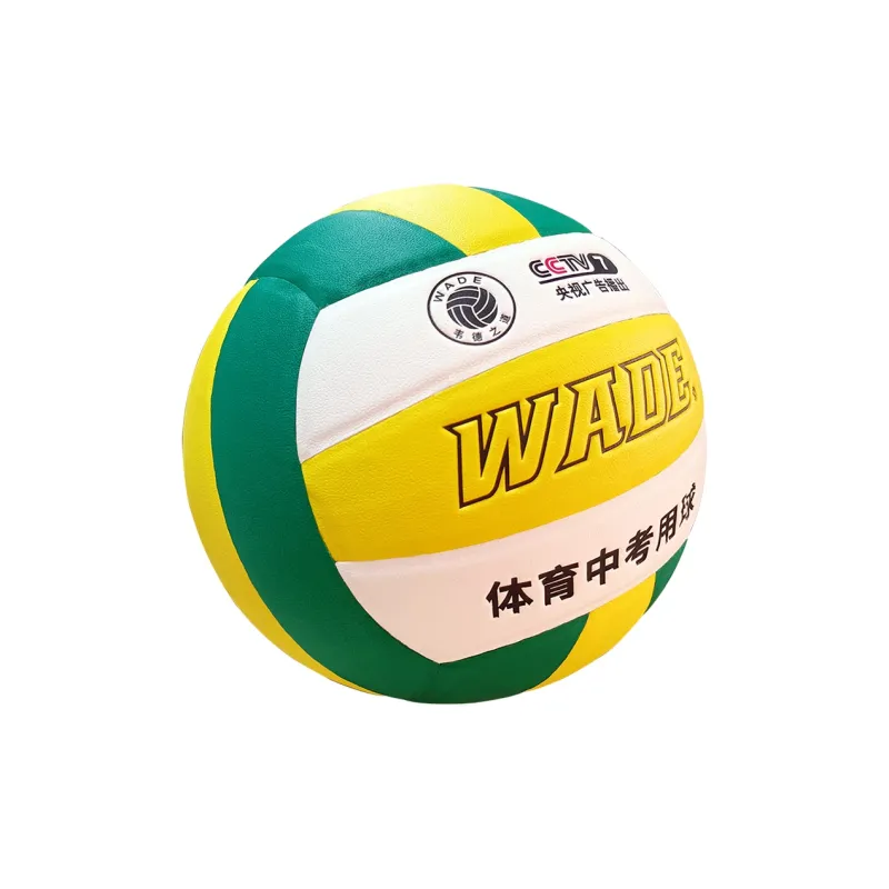 WADE Volleyball-4