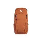 Terracotta Brown