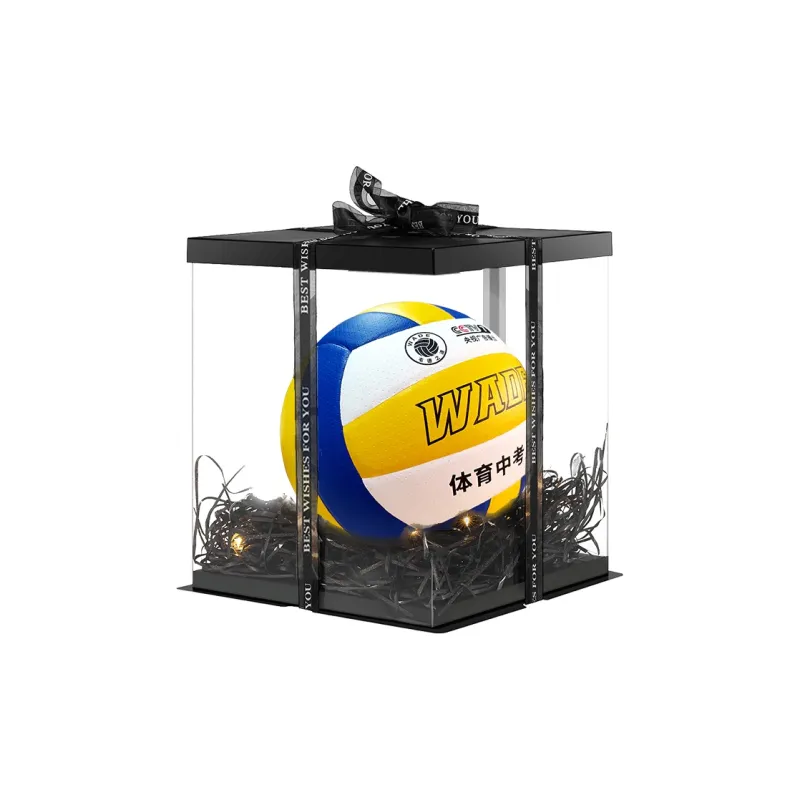 WADE Volleyball-0