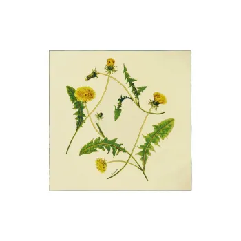 Burberry Dandelion-print Square Scarf