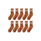 Dirty Orange[10 Pack]