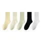 5 Pack (Custard-Milk White-Light Green-Black-White)